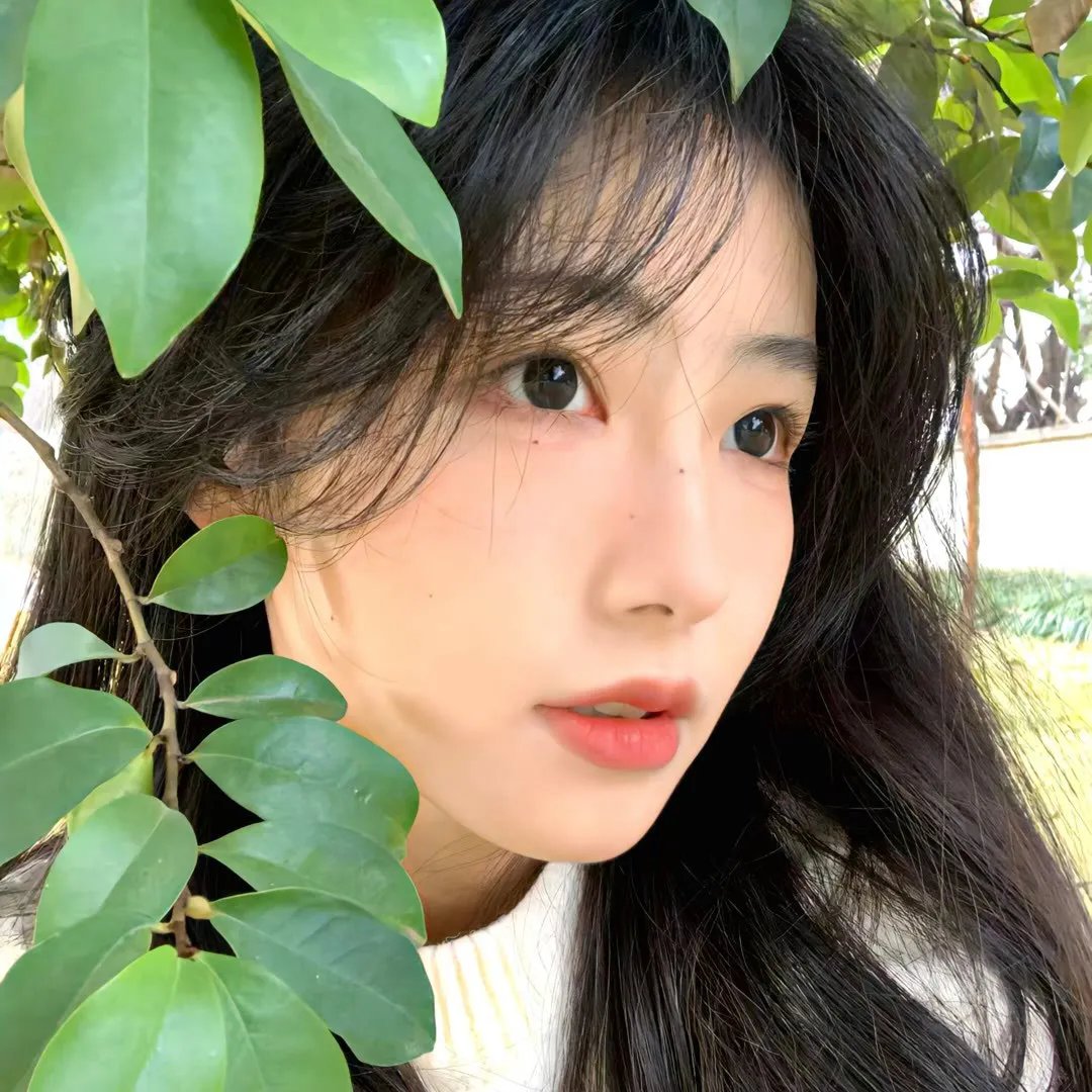 陆贞传奇