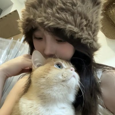 十字谜情
