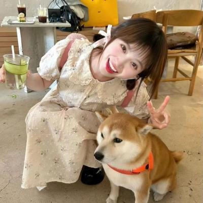 恋爱吧,食梦君!第二季